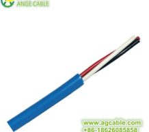 10908636748_815484187.310x310